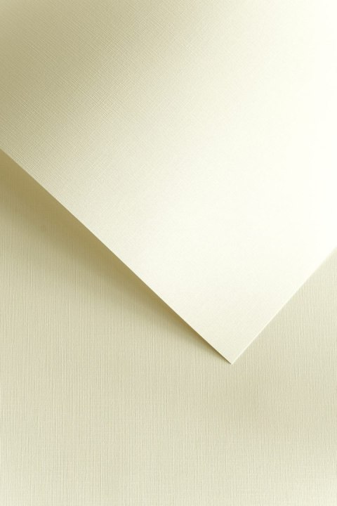 Papier GP A4/120g Płótno biały (50)