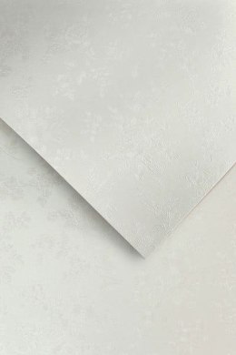 Papier GP A4/220g Floral diamentowa biel (20)