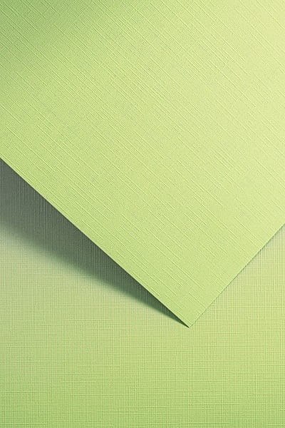 Papier GP A4/220g Holland zielony (20)