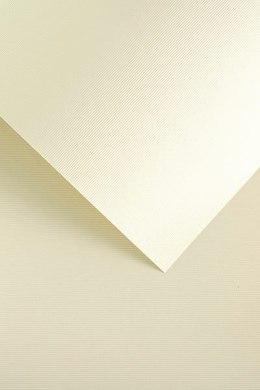 PapierPapier GP A4/230g Linie krem (20)